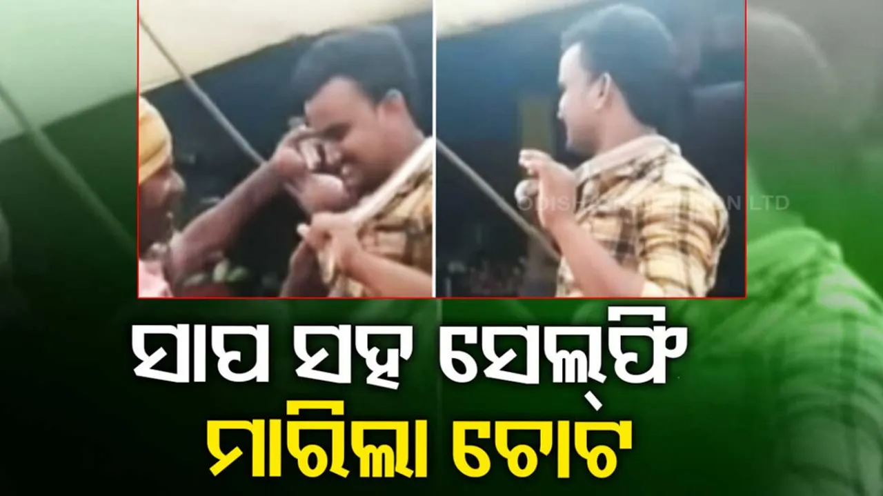 Andhra Youth Dies After Selfie With Snake