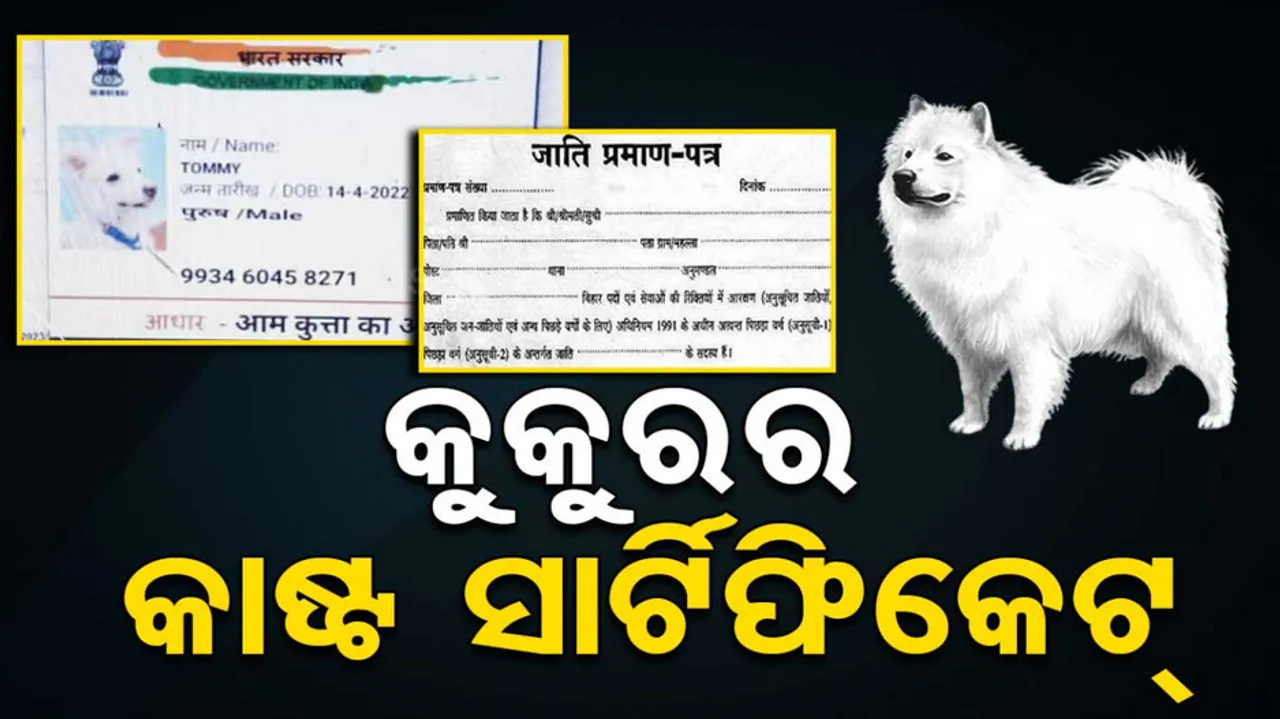 Dog Files Application For Caste Certificate
