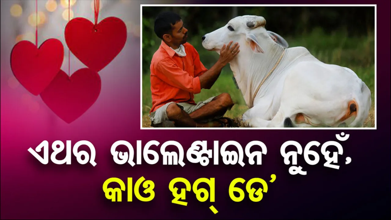 Mark February 14 as 'Cow Hug Day'