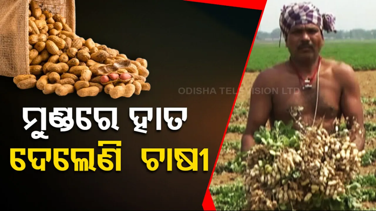  peanut farmer problem