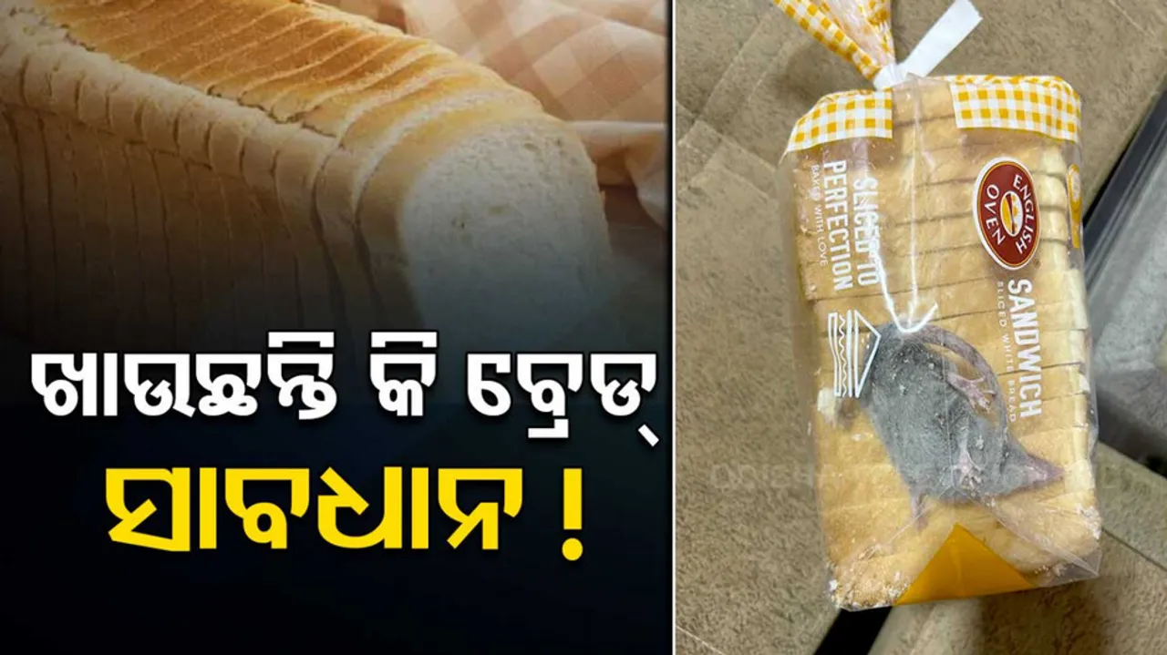 Bread Packet Ordered From App