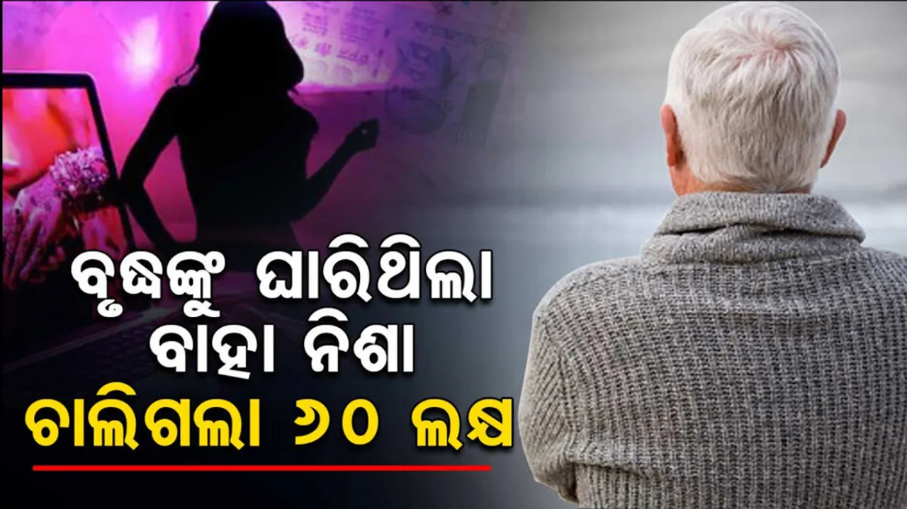 65 Year Old Widower Loses Rs 60 Lakh on Marriage Portal