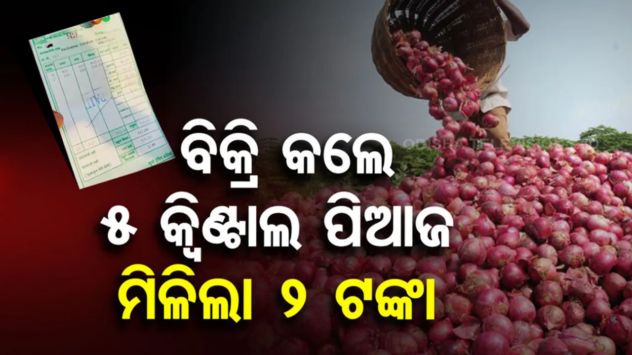  Maharashtra Farmer Travels 70km To Sell 512 KG Onions