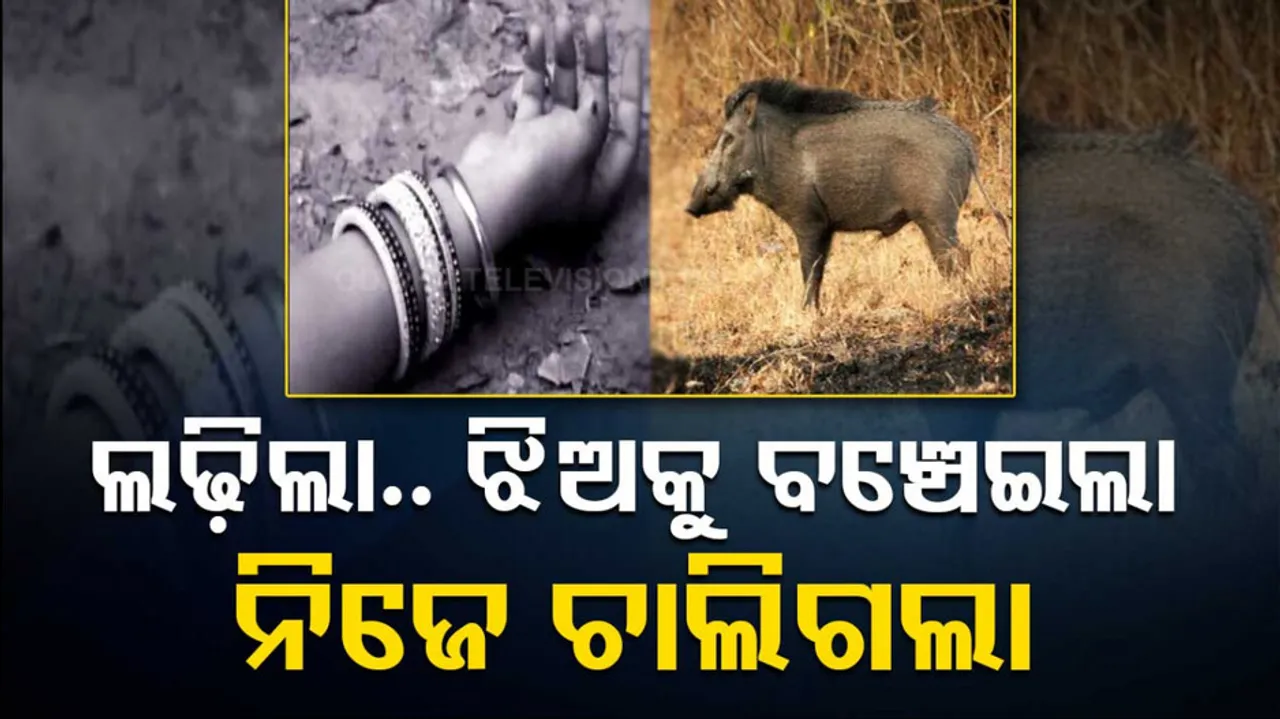 Chhattisgarh Woman Dies Fighting Wild Boar To Save 11-Year-Old Daughter