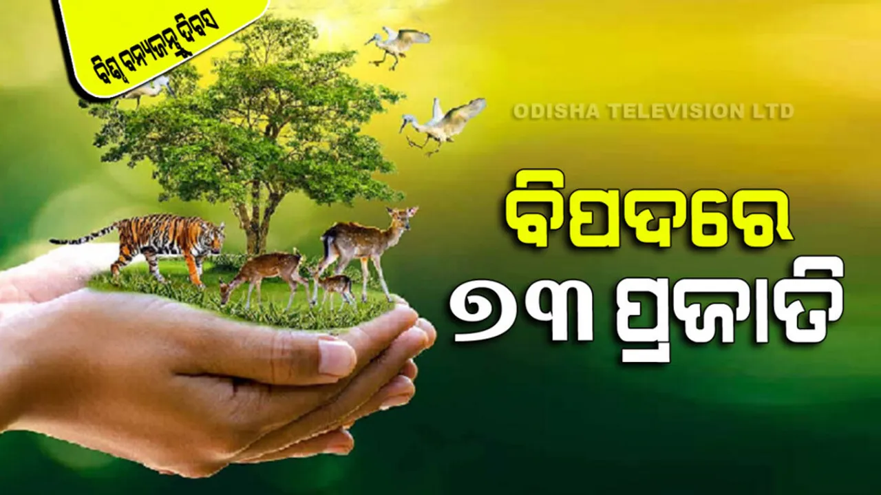 World Wildlife Day 2023