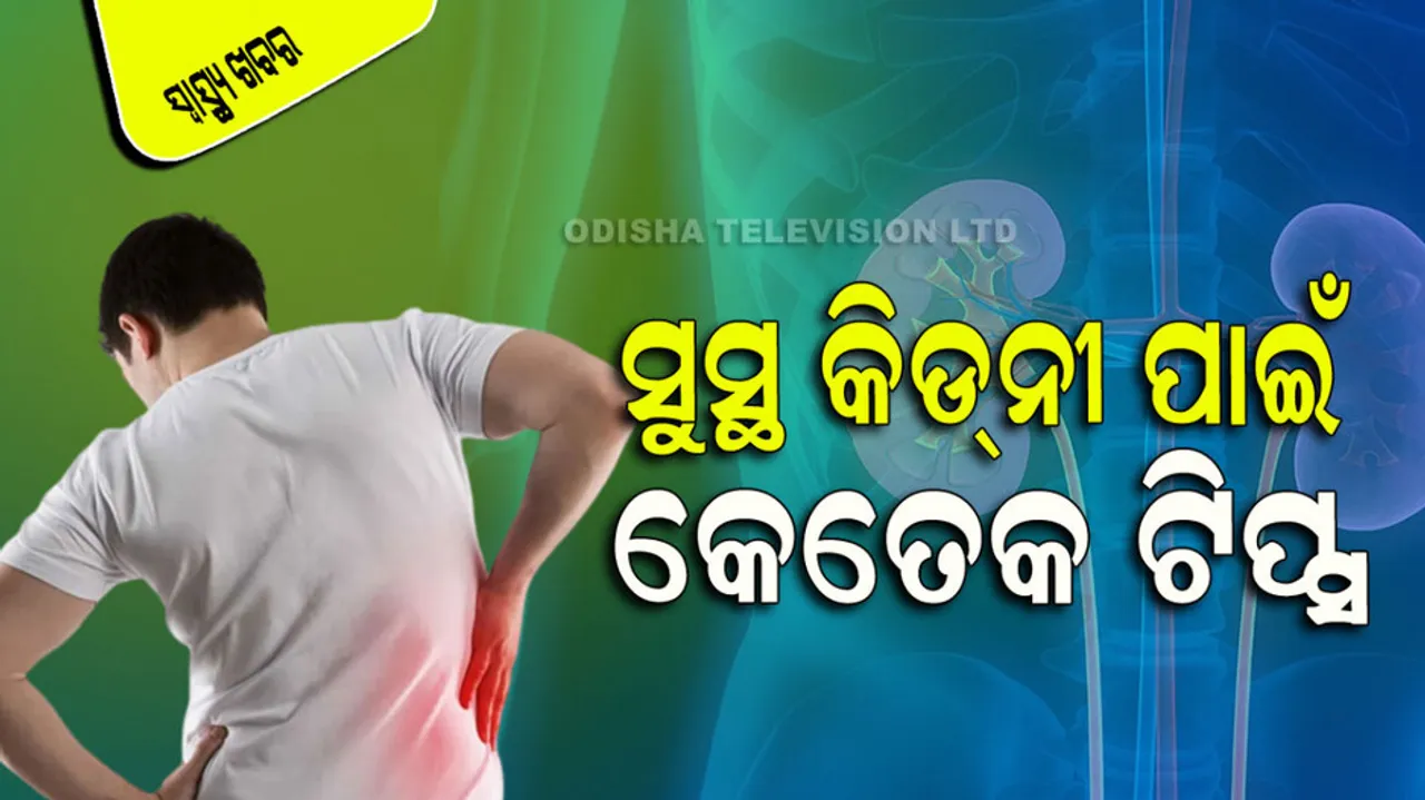 World Kidney Day 2023