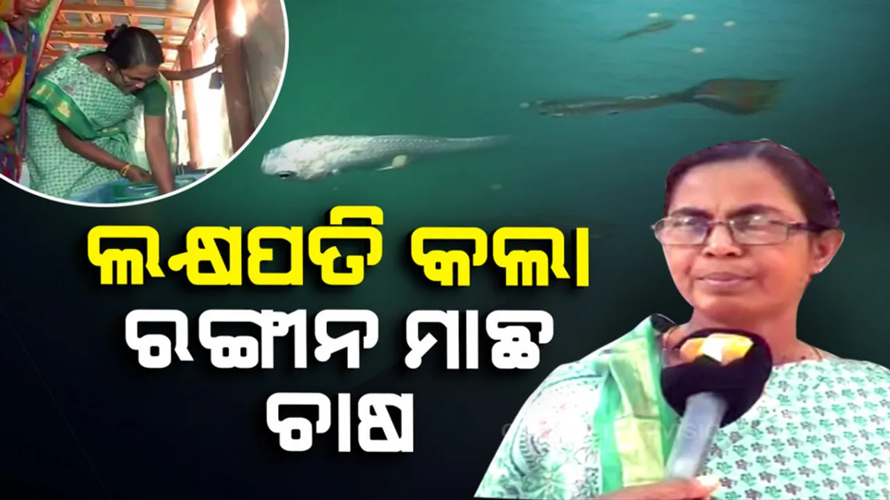 Ornamental Fish Farming Turns SHG Members Self-Reliant In Kendrapada