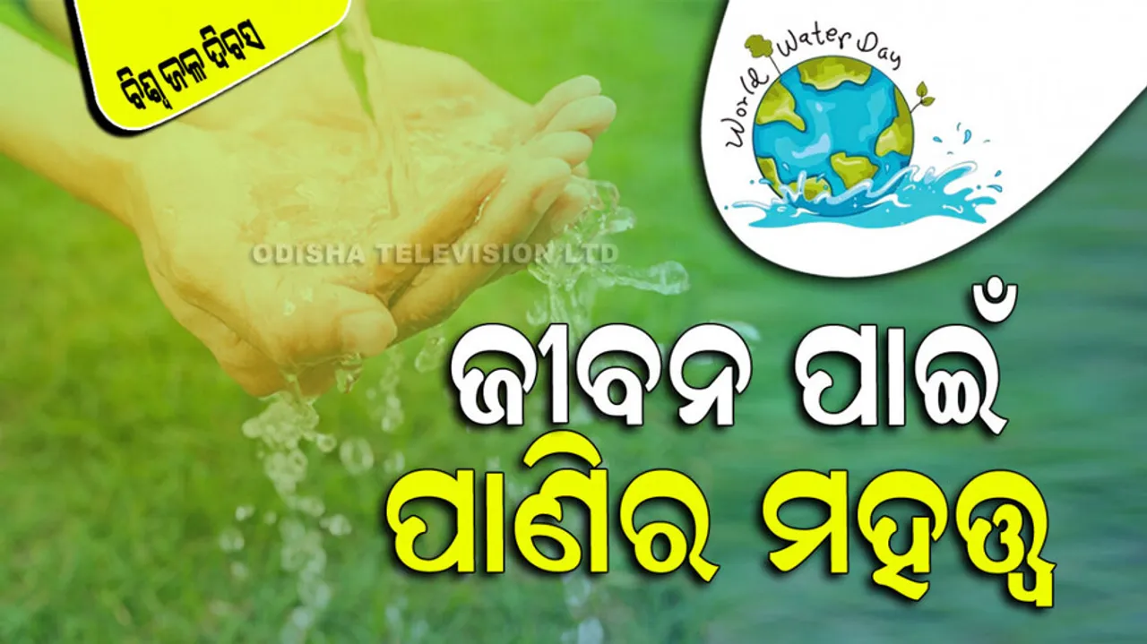 World Water Day History And Theme