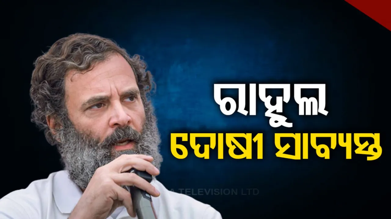 Rahul Gandhi Controversy