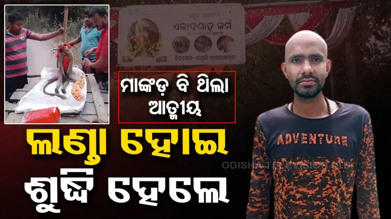 Monkey’s 11th day death ritual