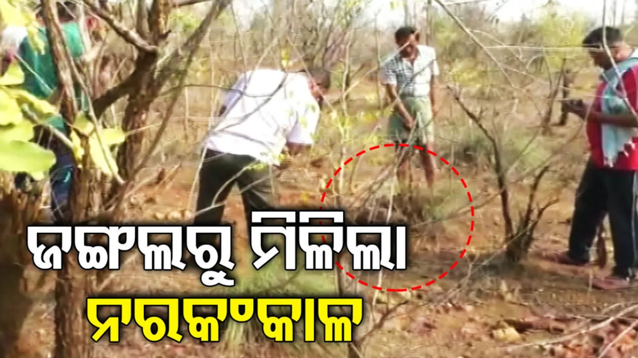 Balangir Skeleton Rescue