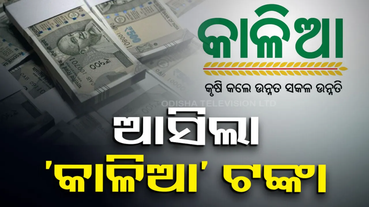 Odisha CM Naveen Patnaik  KALIA Assistance For Farmers