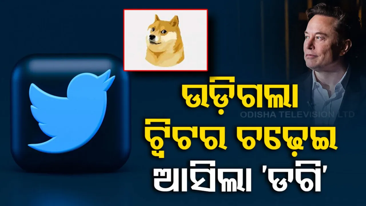 Twitter Logo Changed