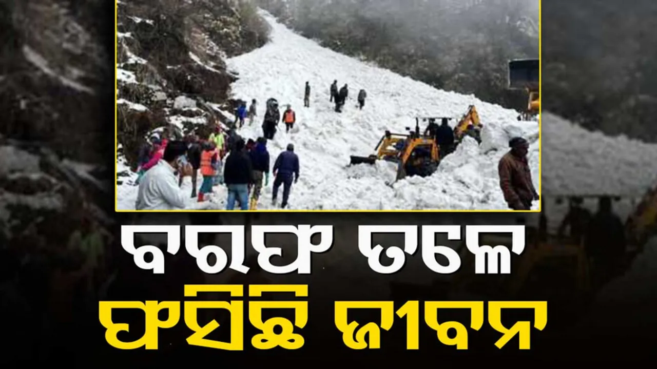 Sikkim Avalanche Updates