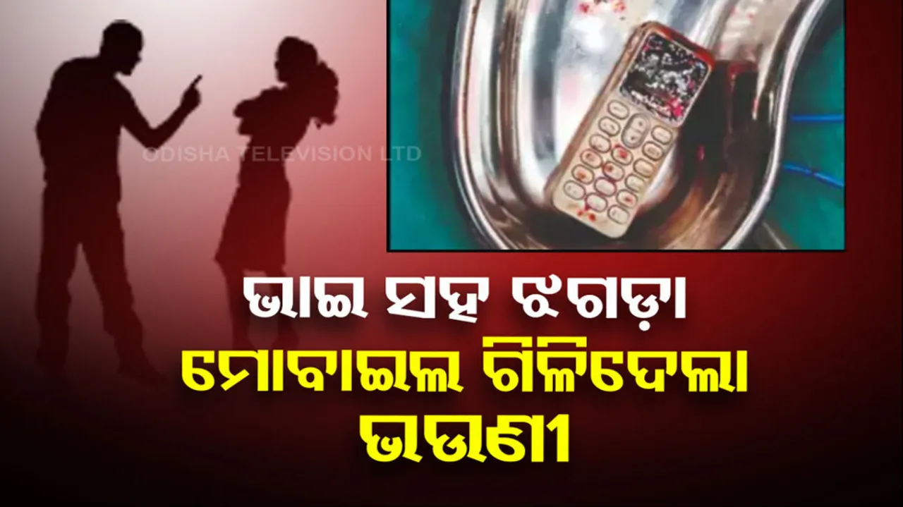 Brother Sister Quarrel 