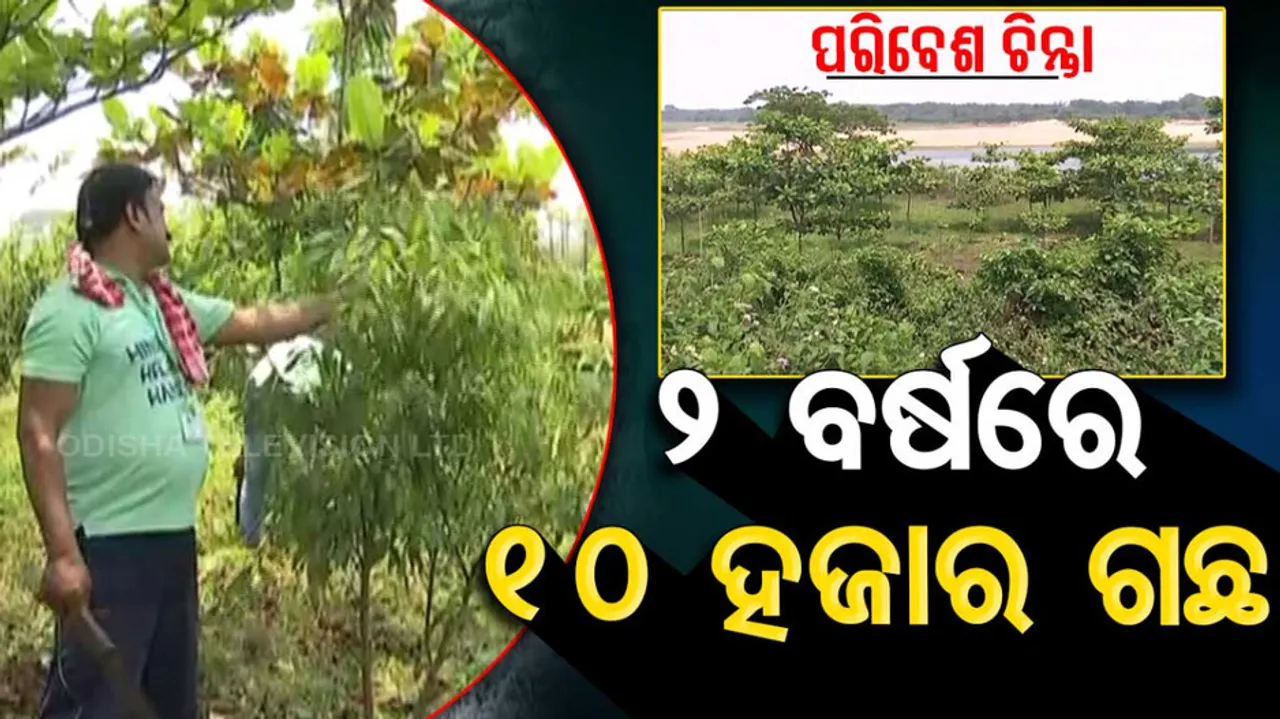 Tree Plantation Drive In Cuttack