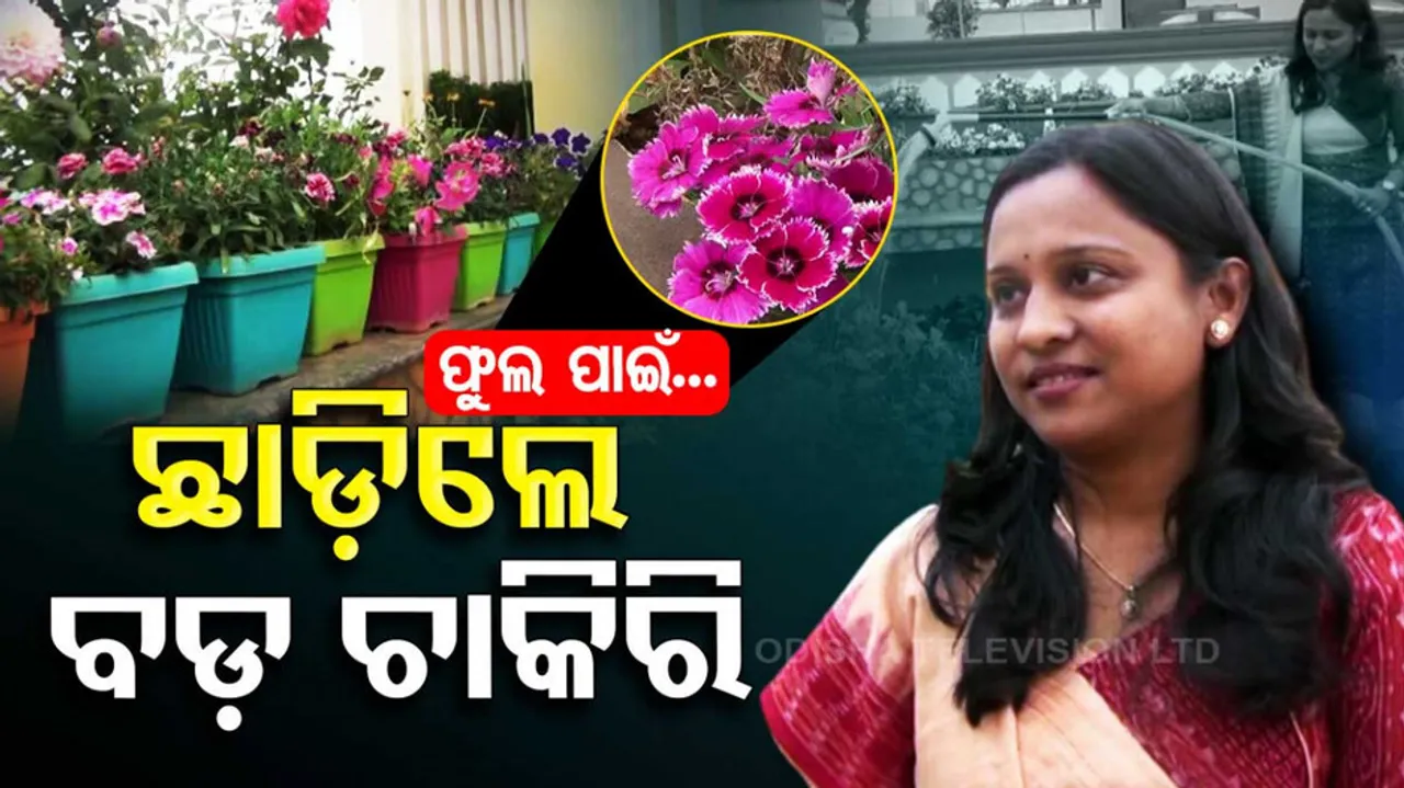 Koraput Woman Leaves High-Paying Job for Flowers