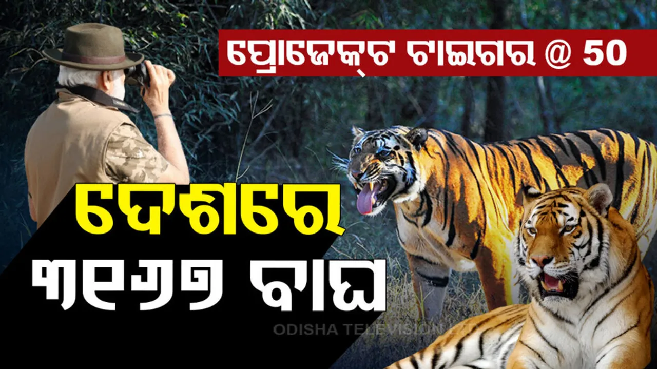 PM Modi on Project Tiger