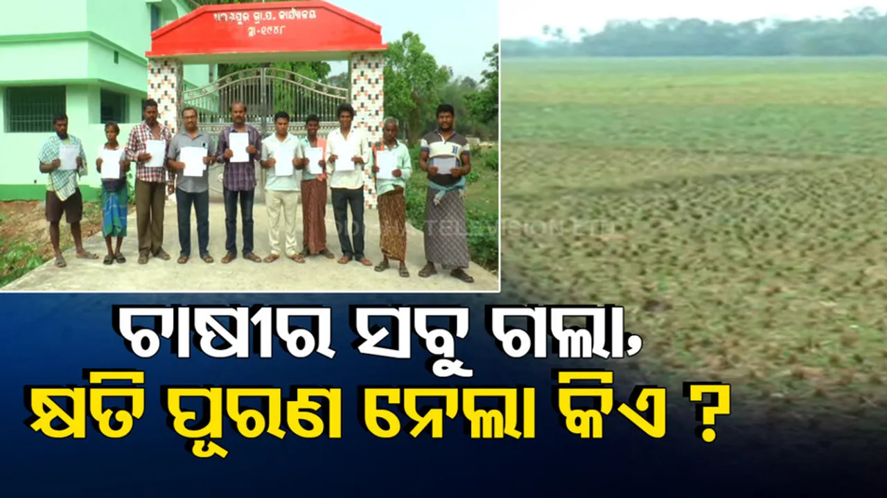 Farmer Issue In Jajpur