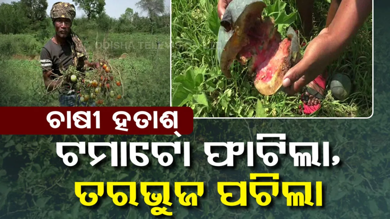 Farmer Issue In Rayagada
