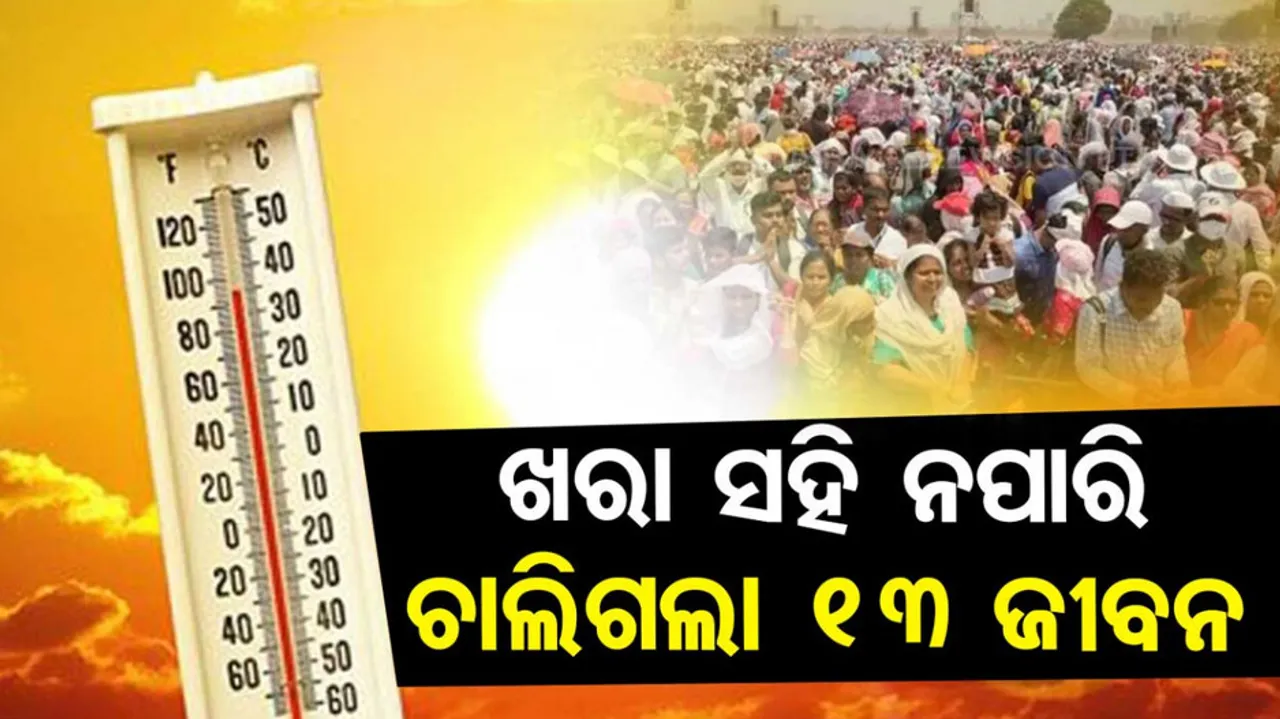 Heat Stroke Death In Maharashtra 