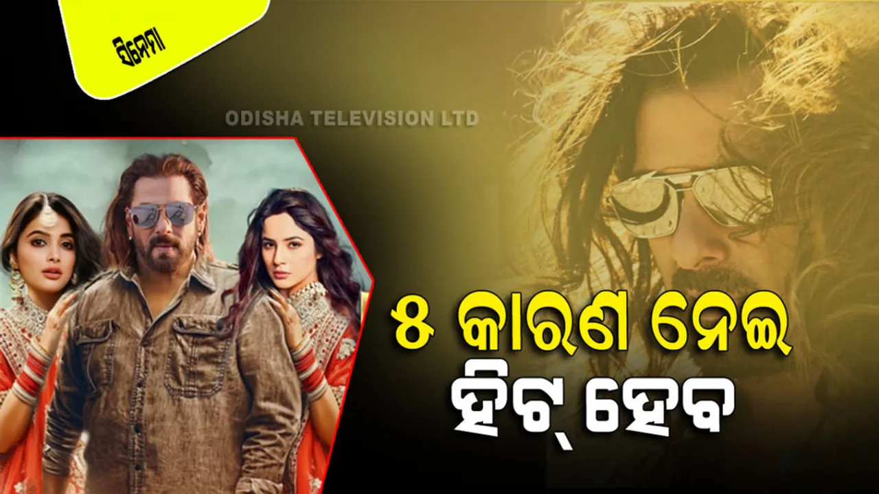 Kis Ka Bhai Kisi Ki Jaan Can Be Huge Hit At Box Office For 5 Reason