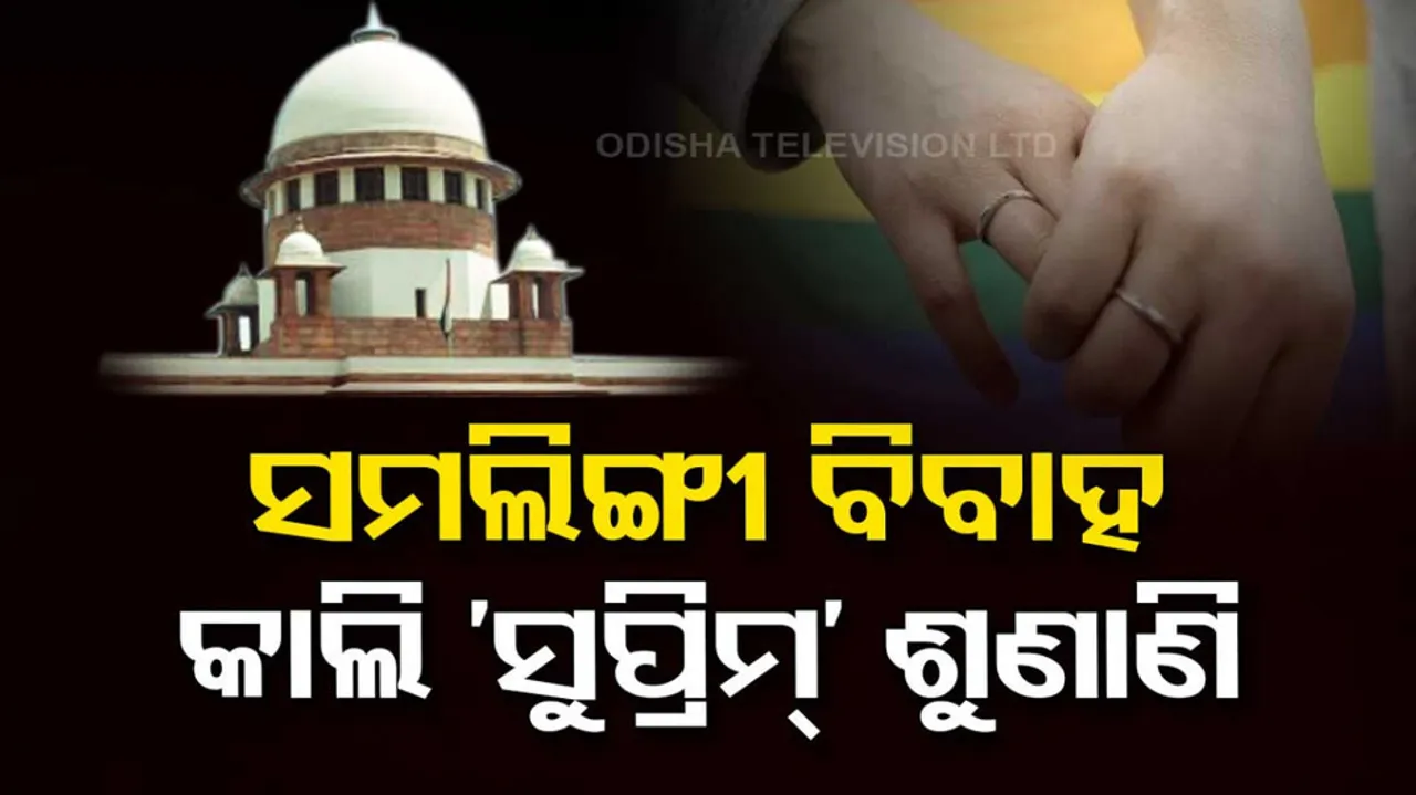 Same Sex Marriage Hearing