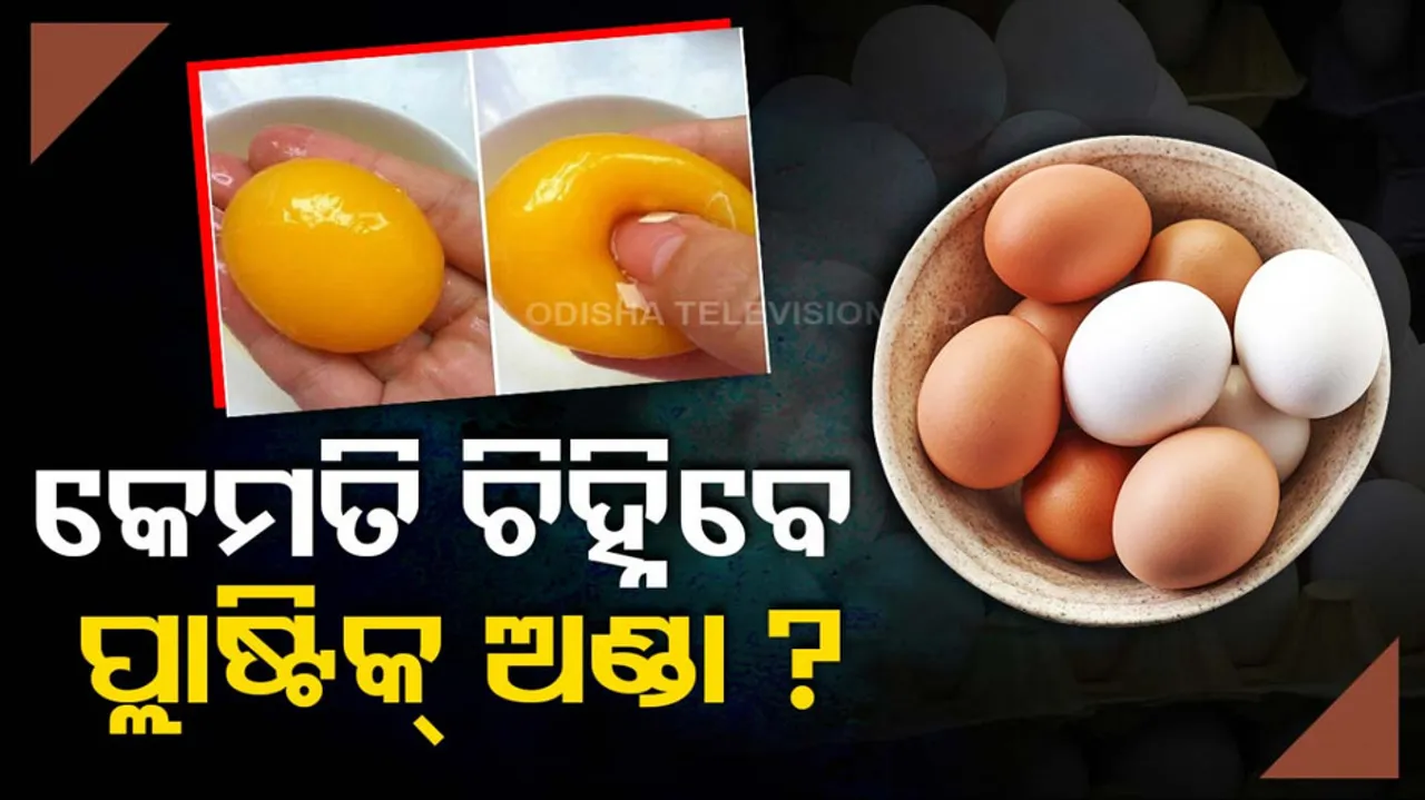 Egg Identification Guide