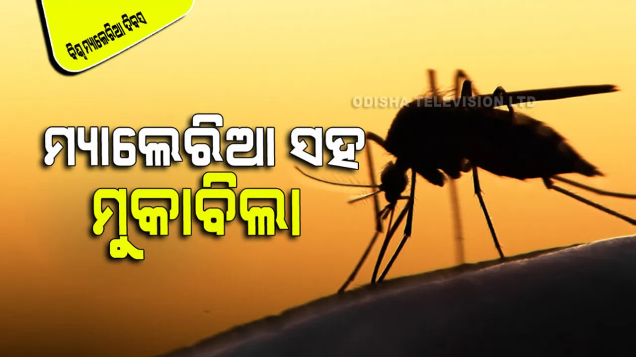 World Malaria Day History