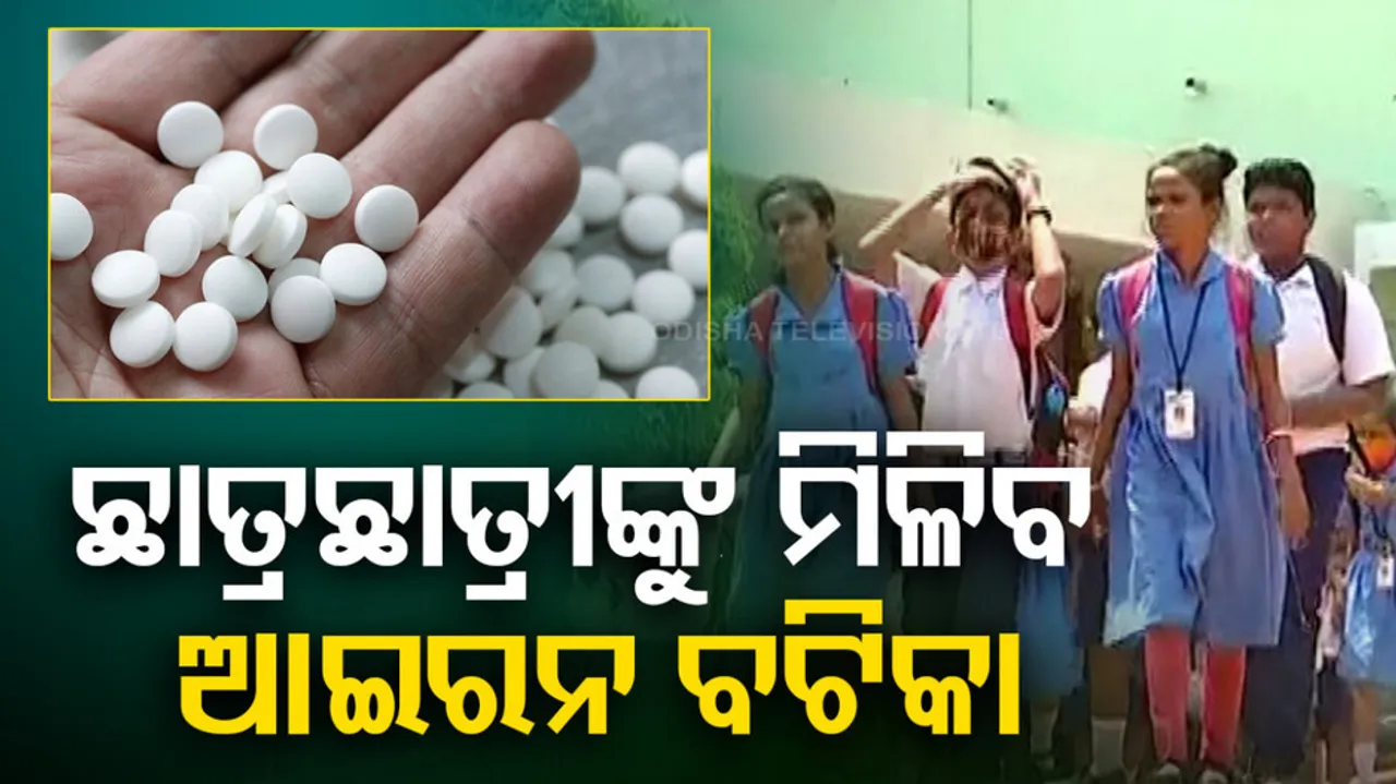 Amlan Scheme In Odisha