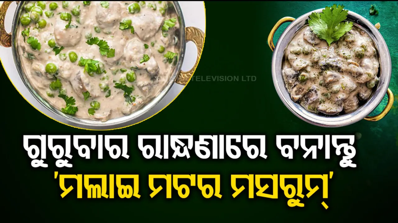 Easy And Quick Mushroom Recipes