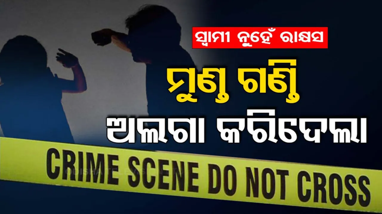 Man kills Wife In Delhi