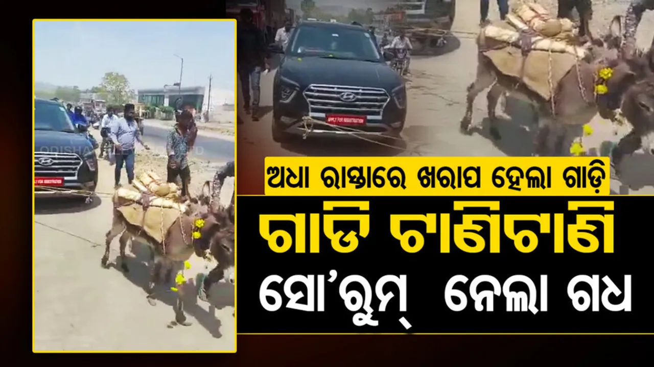 Viral Video: Man Gets Car Pulled By Donkeys