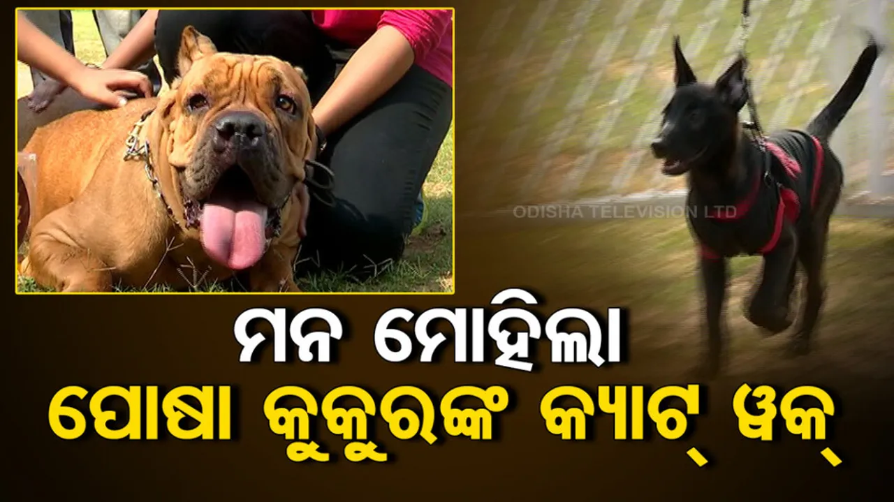 World Veterinary Day 2023