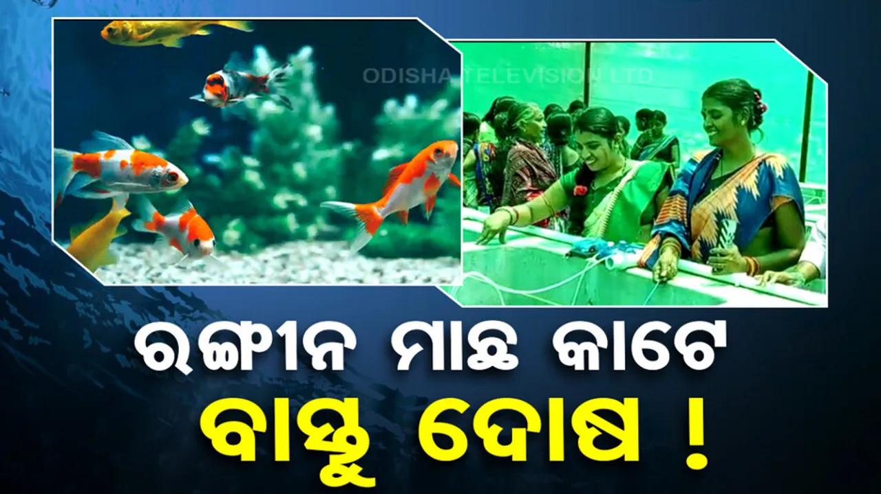 Ornamental Fish Farming In Odisha