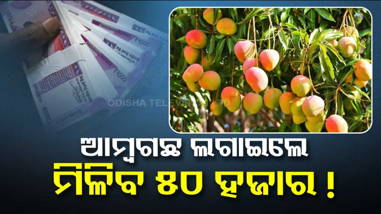 Saghan Bagwani Yojana