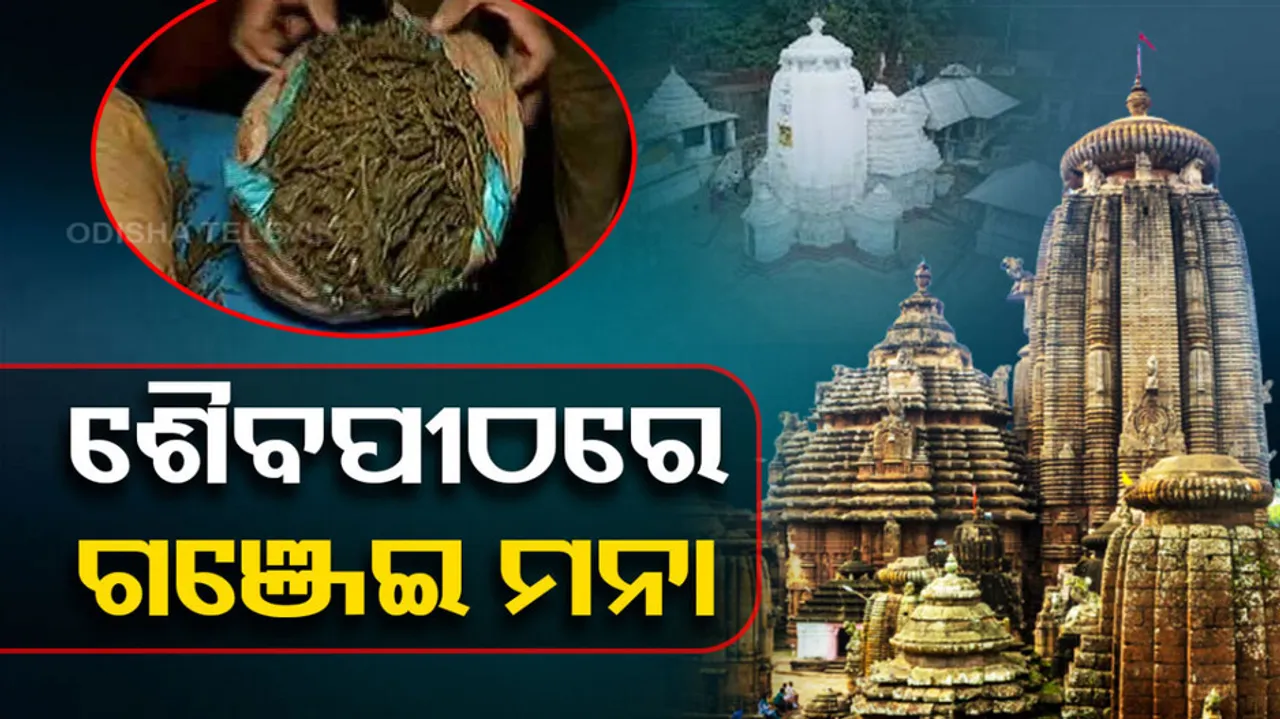 Ganja Ban In Shiva Temples