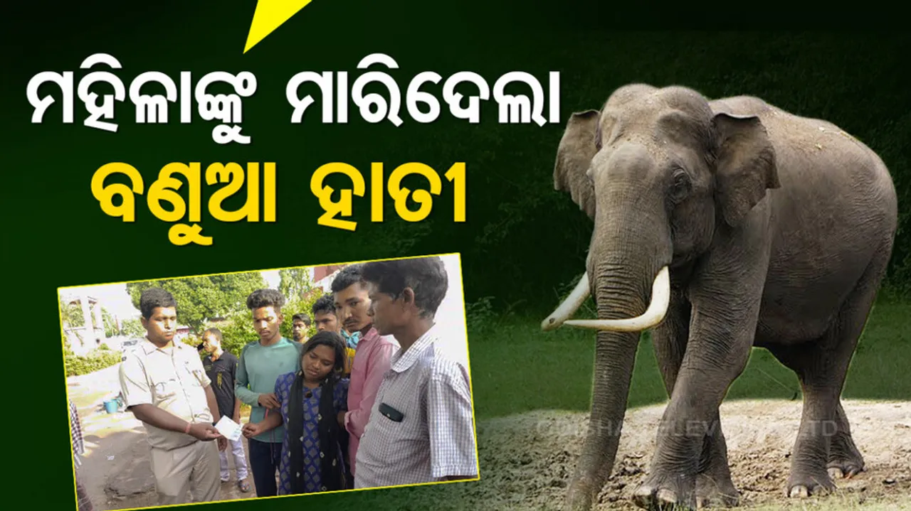 Wild elephant crushes lady ward member