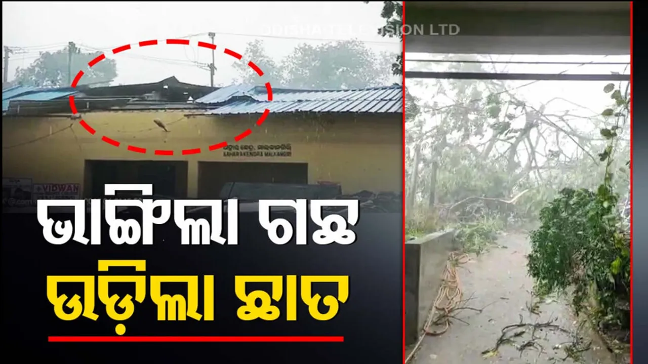 Rain fury in Odisha's Malkangiri