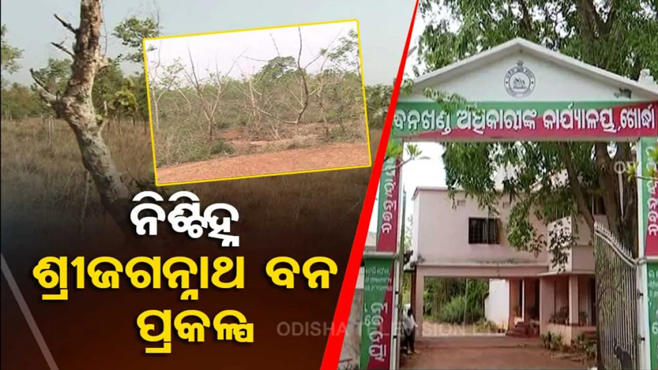 Odisha SriJagannath Banaprakalpa