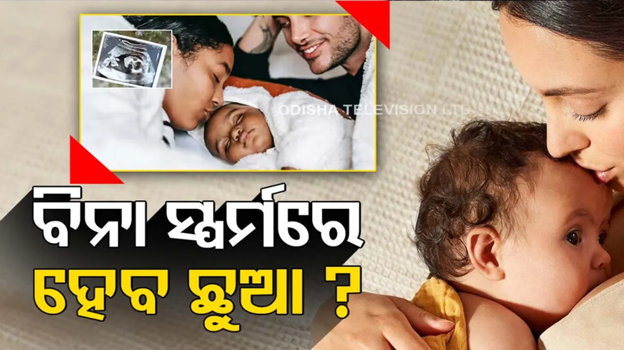 No egg or no sperm for baby