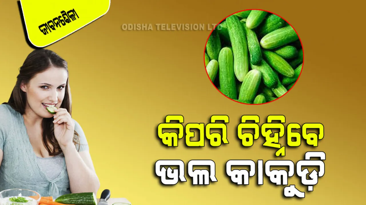 Tips and tricks to buy fresh and good cucumber