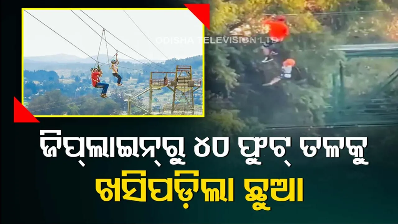 Social Media-Viral Video