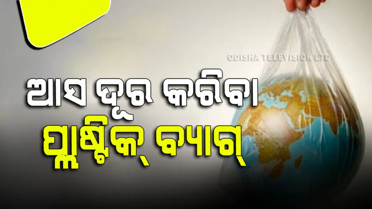 International plastic bag free day 2023