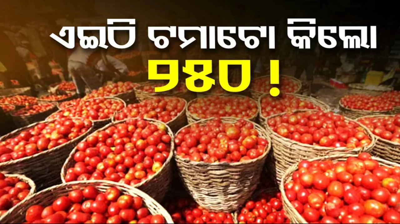 Tamato Price 250 In Uttarakhand