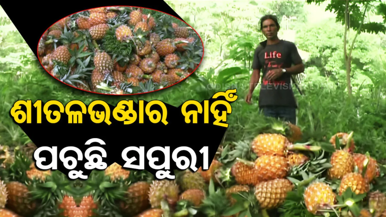 Lack of cold storage