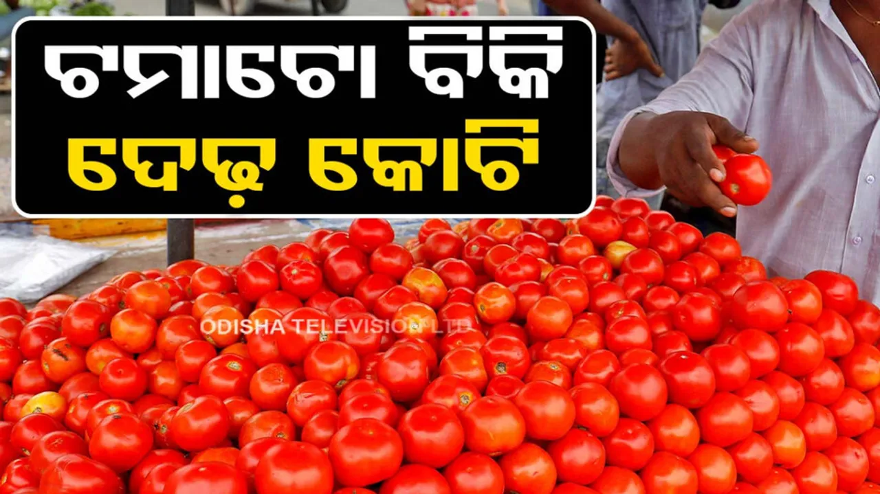 Tomato Price Hike