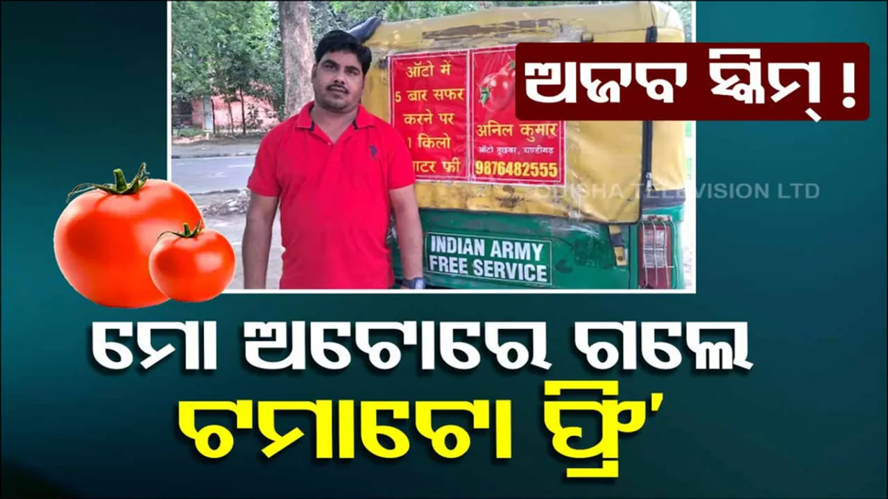 Auto Driver Distributes Free Tomato