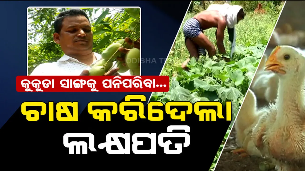 vegetable and poultry farming