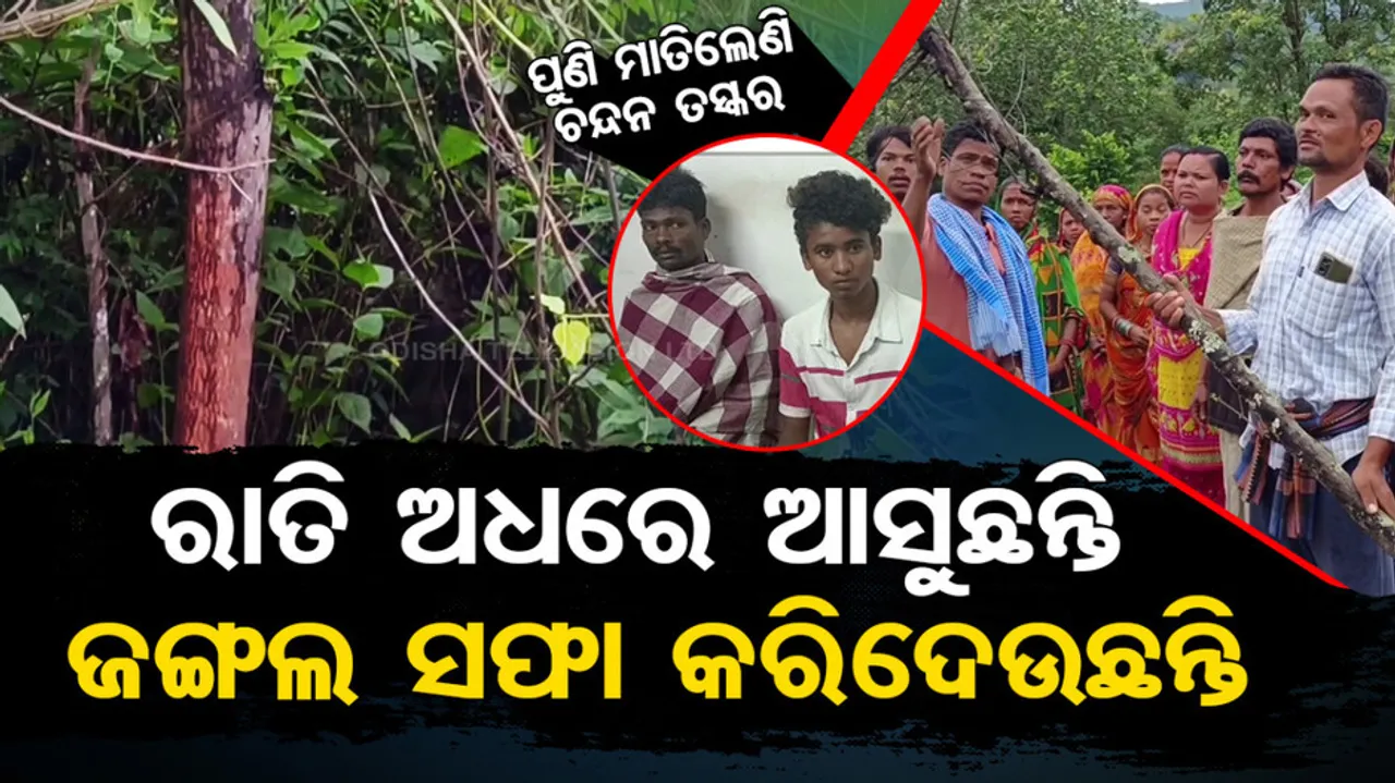 Sandalwood smuggling